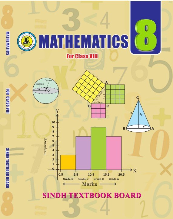 Class 8 Math — Solved Exercises (English Medium) — official book cover
